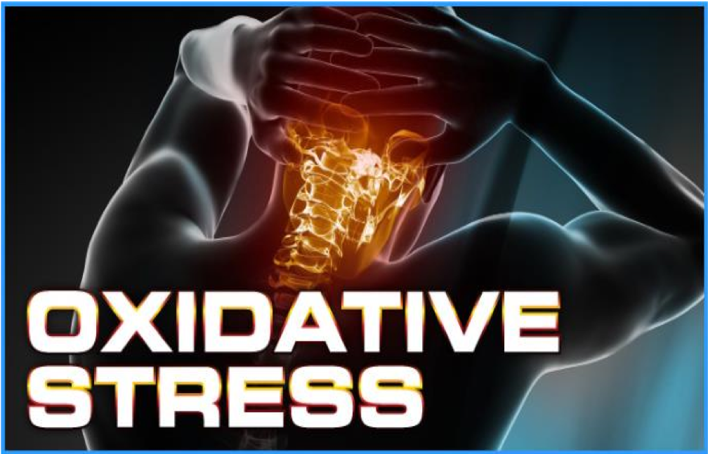 Oxidative Stress